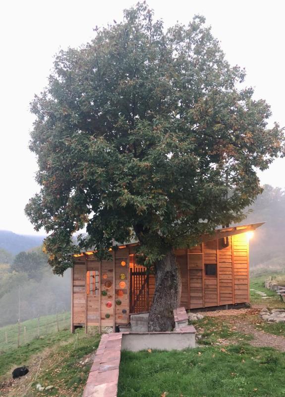 Photo"Castaña'Huss", transformation d'un atelier en micro-habitat